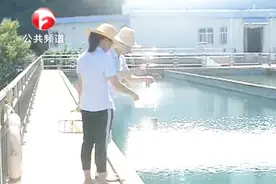 合肥市日供水量创历史峰值 你每一口水的背后都有一个神秘的TA视频封面