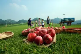 那个不逊于三生三世十里桃花的地方，如今桃儿熟了图片