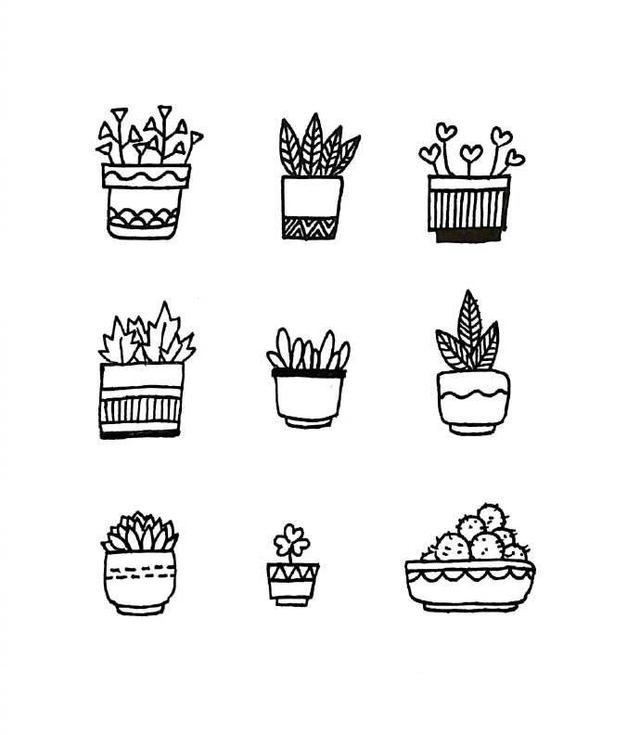81种盆栽植物简笔画,超级简单,这个周末陪孩子在家画吧!