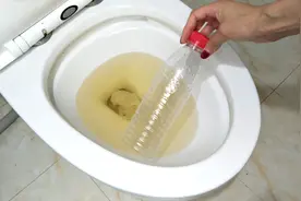 用了20年马桶才学会，马桶堵了用塑料瓶就能就通开，不花一分钱！视频封面