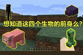 我的世界 Minecraft 老版本你不知道的事，末影人的眼睛是绿色的
