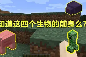 我的世界 Minecraft 老版本你不知道的事，末影人的眼睛是绿色的