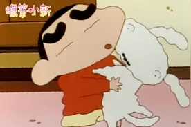蜡笔小新：小白终于恢复健康回家了 小新也知道用心照顾小白了视频封面