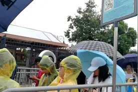 上海迪士尼台风中仍开园，室内项目飞跃地平线要排3小时图片