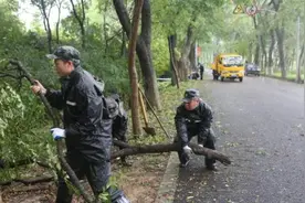 2分半钟看台风给上海带来的疾风骤雨视频封面
