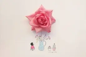 如果你和老婆互换了身体，最想做什么？这是七位已婚男人的回答图片