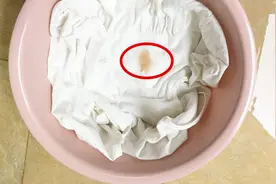 衣服沾上酱油不要愁，只要涂上它搓一下，新老酱油渍都能轻松去除