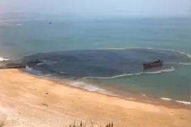 大连5A景区浴场直排污水：近海呈黑色视频封面