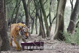 包拯出生脸黑得像炭，父亲嫌弃他，要活埋他，连老虎都不吃他！视频封面