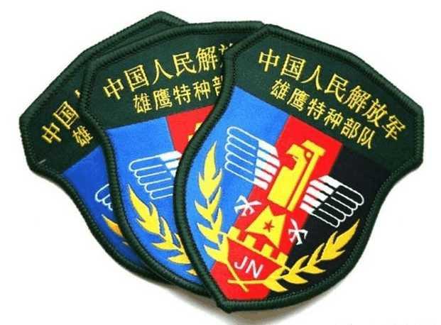 中国五大特种部队及其专属臂章,你最喜欢哪一个?
