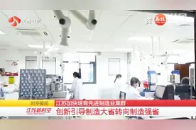 江苏打造13个先进制造业集群 促产业“高原”迈向“高峰”视频封面