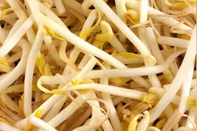 治疗便秘，也许吃泻药不是好办法，多吃这十大食物食补才是对的