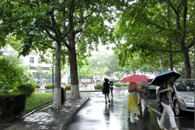受台风“安比”影响 北京迎暴雨 上午到中午城区雨势较强图片