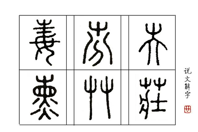 草字头下面一个以字念什么（学汉字你知道了又双叒叕）