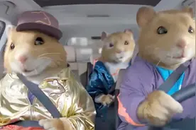 终于找到这首歌了！歌名竟然叫“仓鼠之歌”！