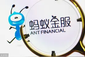 减肥！找老婆！保命！那些年我们在蚂蚁森林收过的能量图片