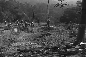 美军志愿部队在缅甸欣贝延地区的丛林地带修建机场跑道视频封面