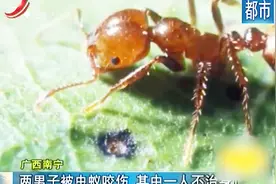 广西南宁：夏季蚊虫多 俩男子被虫蚁咬伤 其中一人不幸身亡视频封面