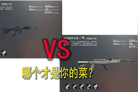 刺激战场：7.62连狙评测，各大性能对比，你更爱SKS还是SLR？