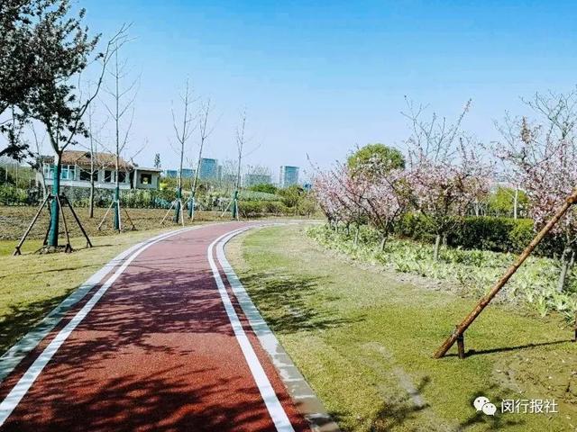 投8000余万改造绿道！有多长？在哪儿？有个听证会等你来