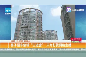 男子砸车偷钱“三进宫”，只为打赏网络主播