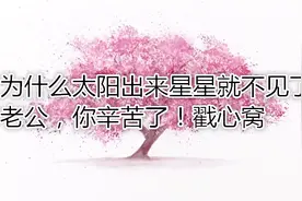 为什么太阳出来星星就不见了？老公，你辛苦了！戳心窝视频封面