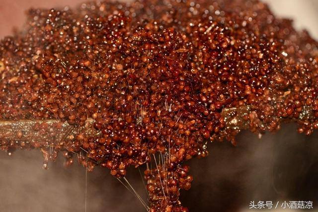 白酒酿造工艺：发酵的糖化与酒化是什么意思？