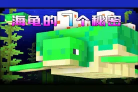 我的世界：海龟的7个秘密，别用龟壳做原谅帽了，这才是正确用法