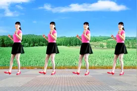 任性舞步广场舞《很任性》简单易学 自由舞步就是好看视频封面