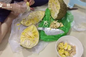 菠萝蜜的籽不要丢，蒸一下比板栗还好吃，吃完千万不能喝蜂蜜视频封面