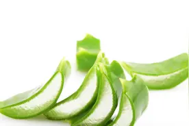 芦荟这些作用太厉害了，10个人9个人都需要，看完你会感谢我视频封面