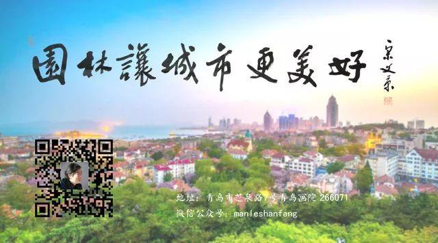 家庭养花｜睡莲的养殖方法