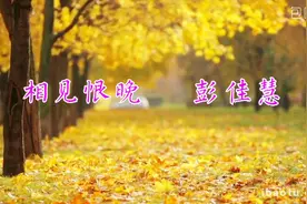 经典老歌，彭佳慧《相见恨晚》，珍惜人生每一次相见，不再后悔！视频封面