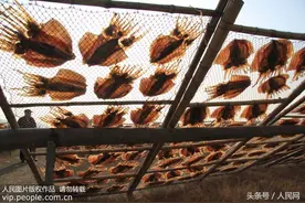 食用深海鱼需当心 鱼越大聚集的雪卡毒素越多图片