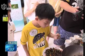 鼓励吃货捕蝉进食！《本草纲目》记载，知了有很高的药用价值！视频封面