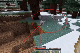 我的世界第35期：来到冰天雪地的世界 驯服两头狼 为我产了下狼崽