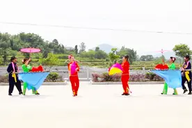 武穴市梅川镇特色民俗文化纪实——双推车