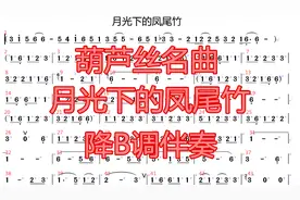 《月光下的凤尾竹》降B调伴奏，快保存起来演出用