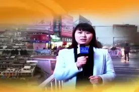 《百姓话题》第四十期槐树乡张吴楼村第一书记，孟莹视频封面