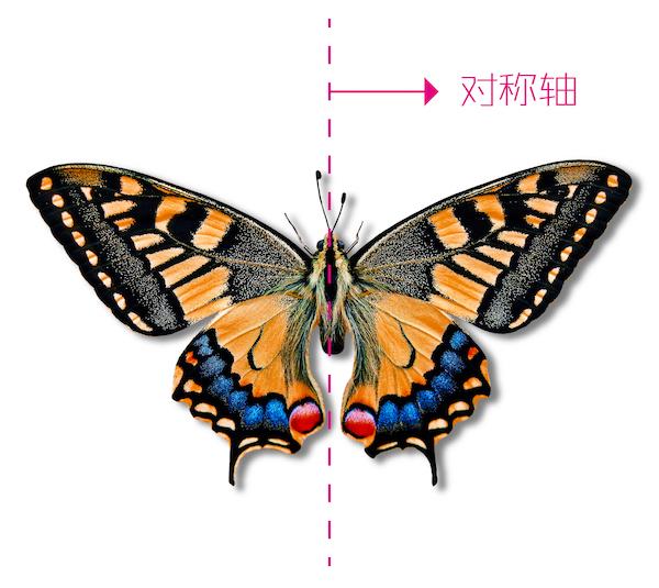 这几个科学小制作让娃边玩边学