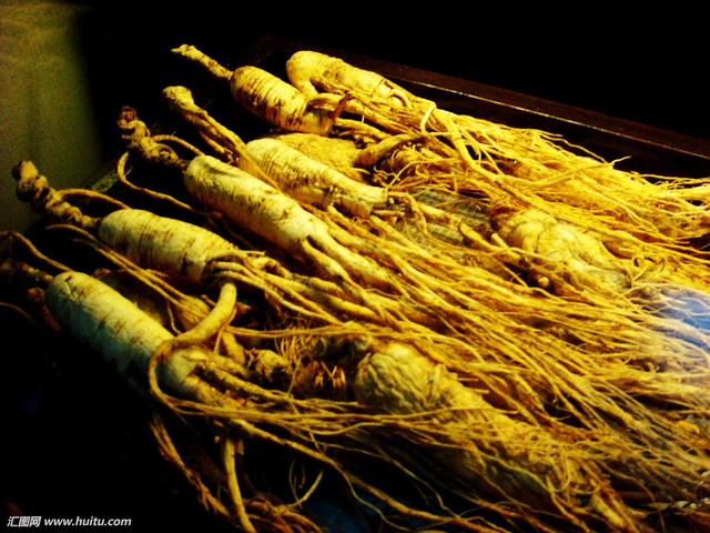 《中药学》人参