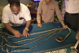 吉尼斯记录认证的世界最长指甲，66年未剪，五指加起来近10米视频封面