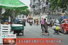 无锡一老人在家养十多只猫 邻居投诉味道太大 咋解决？视频封面