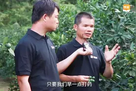 这种果树，种下去几乎不用管，一亩赚一万多，懒人也能挣大钱！视频封面