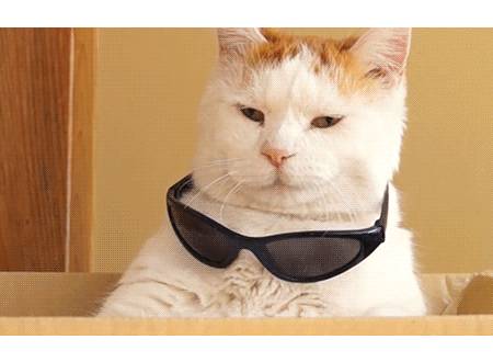 鍘嗘椂鍑犱釜鏈堬紝蹇呭洖璐殑闈㈣啘锛佸悙琛€澶ф€荤粨锛佽繖浜涢浄鎴戦兘甯綘韪╁ソ浜? onerror=