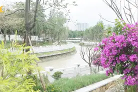 改革开放的成都记忆：我的家住在锦江边视频封面