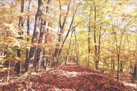 枫叶之国｜加拿大4K美景，感受加国的自然环境视频封面