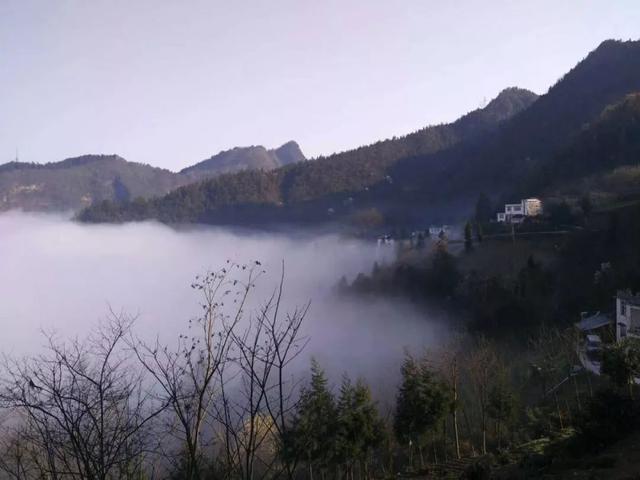 谢玉堂简历优化（巾帼故事｜女子尖刀班班长皇甫鸿）