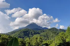 五指山三农之忧遁草