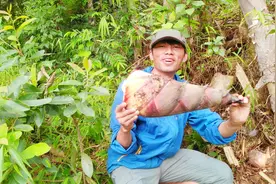 新鲜的苦竹笋怎么做才不苦？哈尼族小伙教你如何做一道竹笋靓汤视频封面